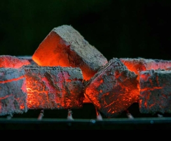 than-sach-tphcm-giai-phap-xanh-cho-nhu-cau-nuong-va-sinh-hoat-giai-quyet-noi-lo-khoi-bui